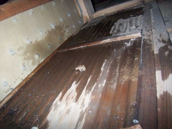 裾野市平屋玄関天井裏