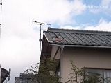 瓦の捲れ