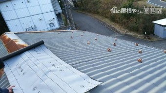 屋根調査