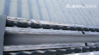 屋根調査