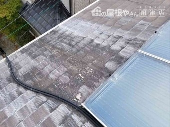 裾野市屋根塗装現地調査