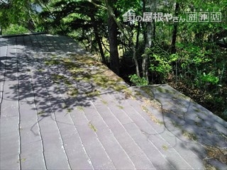 御殿場市十里木屋根現調
