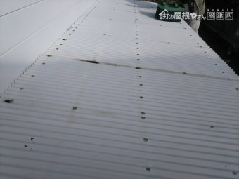 塩ビ波板撤去前