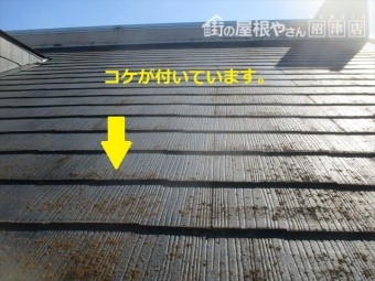 屋根1表面にコケ