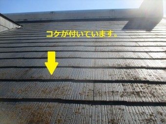 屋根1表面にコケ