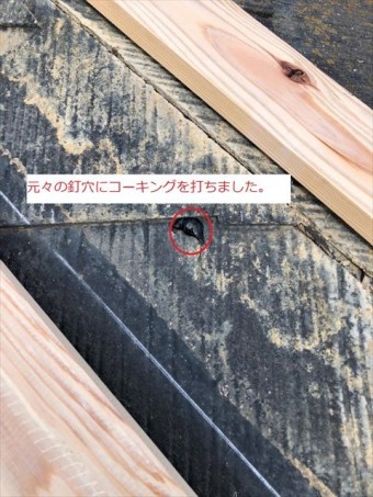 棟板金