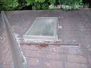 裾野市十里木雨漏り天窓現調