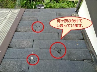 沼津市カラーベスト欠け