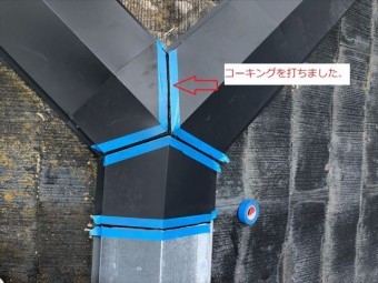 棟板金