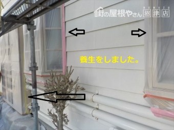 養生