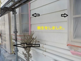 養生