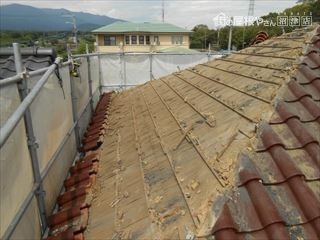 瓦屋根の下地