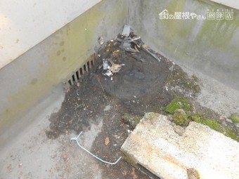 排水口詰り