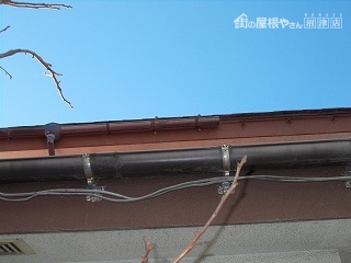 雨樋