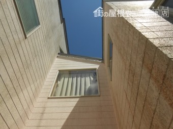 コケの発生