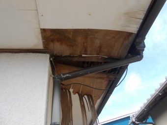 軒裏ベニア剥がれ