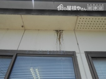 外壁汚れ