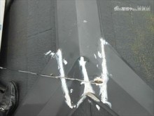 棟