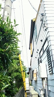 雨樋
