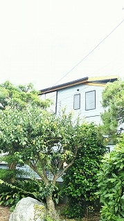 雨樋