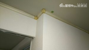 木部