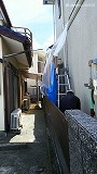 窓