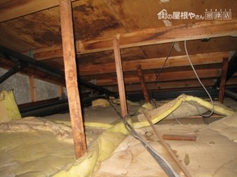 屋根裏雨漏り調査