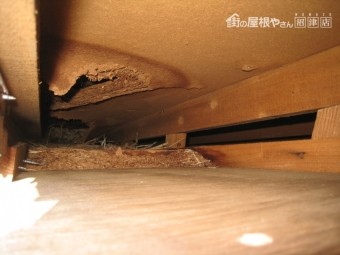 屋根裏が雨水で腐食