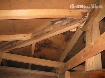 屋根裏雨漏り