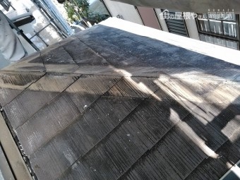 屋根