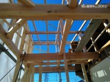 IMG_20171207_121608-columns3-overlay