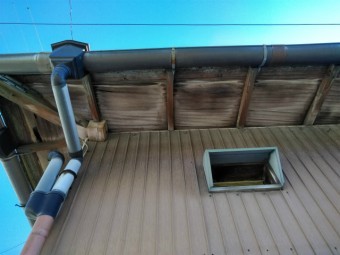 IMG_20180207_113442-columns2
