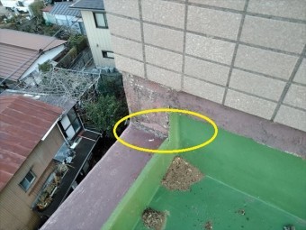 散水試験