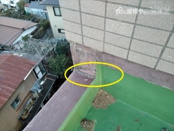 散水試験