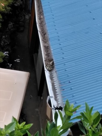 函南町 樋から水漏れ