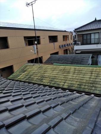 沼津市棟板金破損現場調査