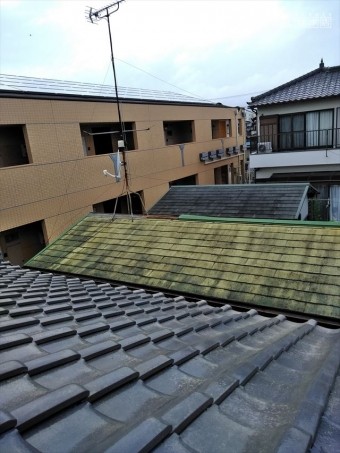 沼津市棟板金破損現場調査