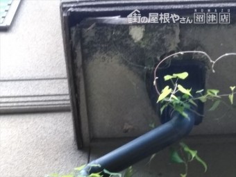 裾野市屋根塗装現地調査雨樋