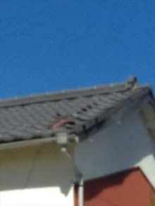 瓦浮き