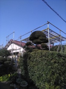 足場設置