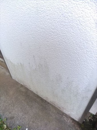 鏡板コケ発生