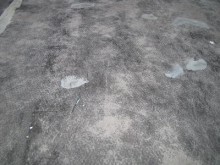 既存防水劣化