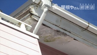 三島市 軒先から雨漏り