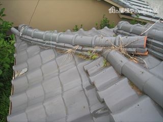 屋根に草
