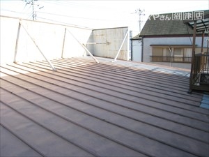 雨漏り 屋根部分
