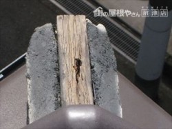 中の木が腐食