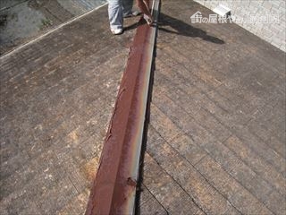 調査・確認中