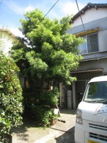沼津市 施工前