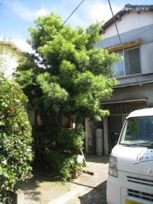 沼津市 施工前