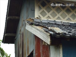 台風後